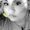 Photo of Karina D.