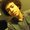 Photo of Amir H.