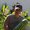 Photo of Sean H.