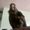 Photo of Sofia T.