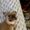 Photo of Bella G.