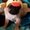 Photo of Chomgorn A.