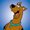 Photo of Scooby D.