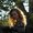 Photo of Megh D.
