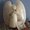 Photo of Melissa C.