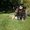 Photo of Lovepreet G.