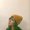 Photo of Porsche J.