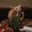 Photo of Darren N.