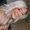 Photo of Kyndra H.