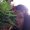Photo of Monserrat R.
