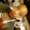 Photo of Shonta D.