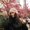 Photo of Stephanie J.