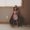 Photo of Caitlin M.