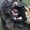 Photo of Ooga B.