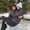 Photo of Alana H.