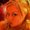 Photo of Alaina M.