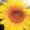 Photo of Dana W.