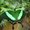 Photo of Foody F.