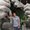 Photo of Eyal H.