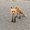 Photo of Kyle P.