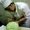 Photo of Chef Tickets S.