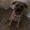 Photo of Bailey S.