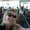 Photo of Desiree N.