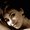 Photo of Irina B.