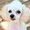 Photo of Donna C.