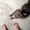 Photo of Jessi M.