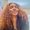 Photo of Briana C.