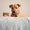 Photo of Benjamin L.