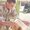 Photo of Qype User (suchis…)
