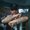 Photo of David H.