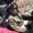 Photo of Luay A.