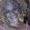 Photo of Liana M.