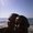 Photo of Janlynn M.