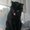 Photo of Qype User (lucyne…)