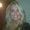 Photo of RENEE D.
