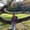 Photo of Nad P.