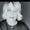 Photo of Lynn H.