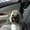 Photo of Debra M.