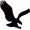 Photo of Raven A.