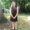 Photo of Sophie J.