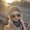 Photo of Svetlana K.