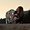 Photo of Morganne M.