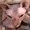 Photo of L M.