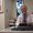 Photo of David Joanna S.
