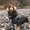 Photo of Rachel S.