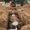 Photo of Honey Doo Wagon Septic Pumping W.